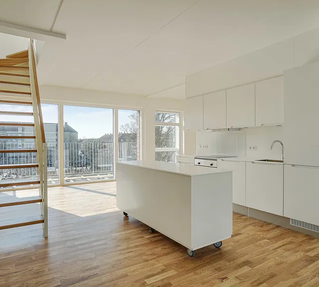 apartment Two-level home with private outdoor spaces on Amager