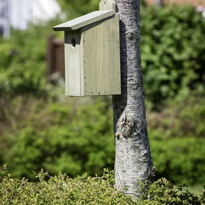 Dejlig townhouse - Straussvej, Holstebro - 4