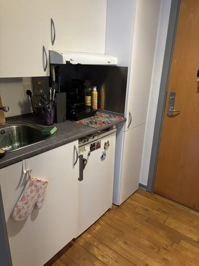 1-værelses lejlighed med hyggelig gårdhave - Kastanie Alle, Ribe - 1