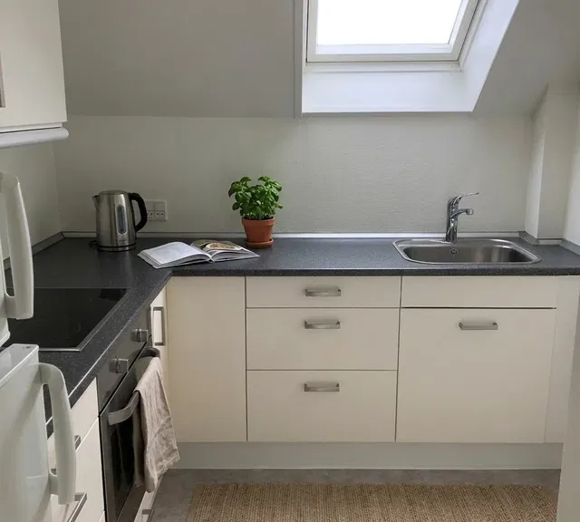 apartment Apartment with a View, Charming Details and a Dishwasher