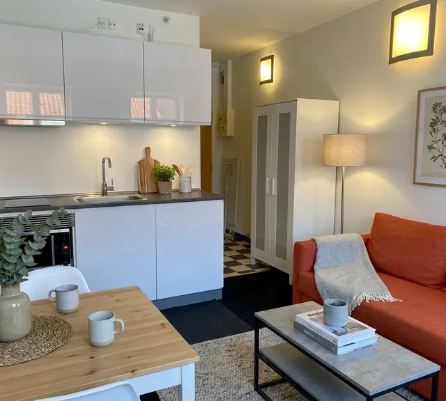 apartment Velindrettet 1-værelses på 30 m2 med lyst opholdsrum og stort badeværelse.