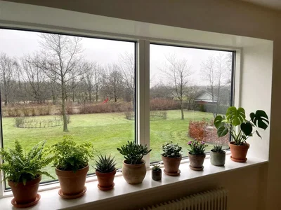 Lys og rummelig 1-værelses på 59 m2 med grøn udsigt – parkering og husdyr tilladt - Engparken, Karup J - 4