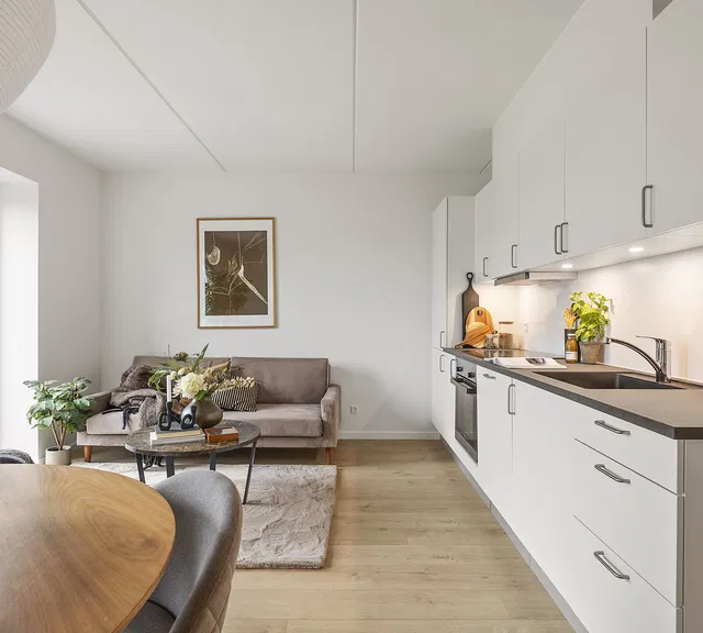 apartment Moderne lejeboliger med grønne omgivelser i Ishøj