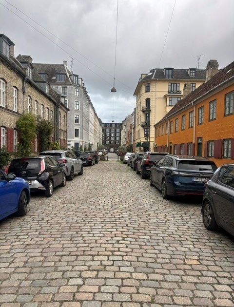 Olfert Fischers Gade, København K – privat gårdhave (udlejes til expats) - Olfert Fischers Gade, København K - 0