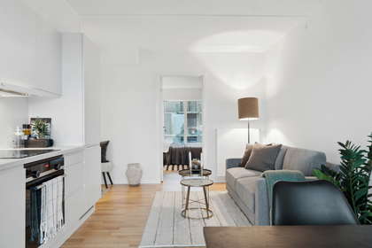Bright, lovely and open kitchen/living area - shared-living friendly – photo 9