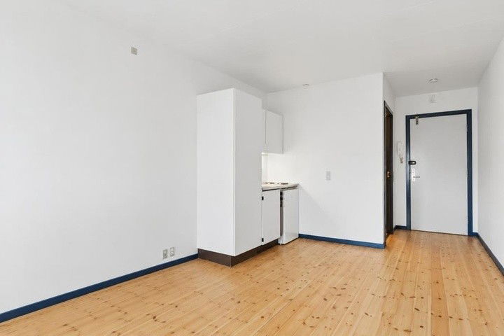 Velindrettet 1-værelses på 23 m² tæt på bus og indkøb – billede 1