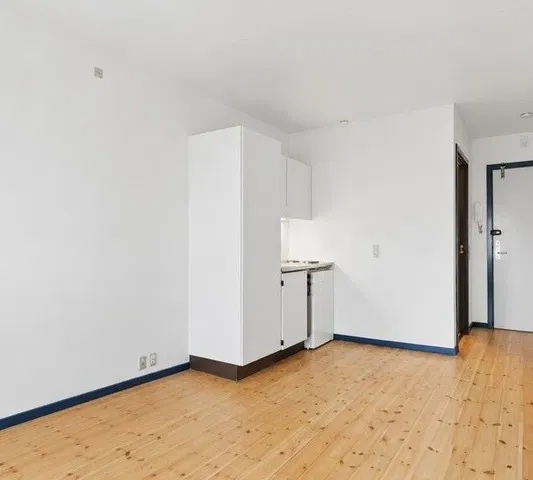 Velindrettet 1-værelses på 23 m² tæt på bus og indkøb