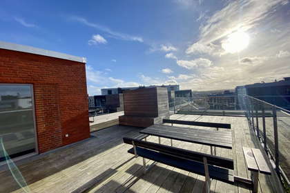 Bright 3-room apartment 74 m² with west-facing balcony – photo 15