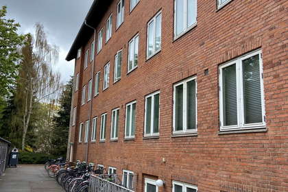 1-room apartment of 29 m² for rent in Brønshøj – Hyrdevangen, ground floor – photo 4